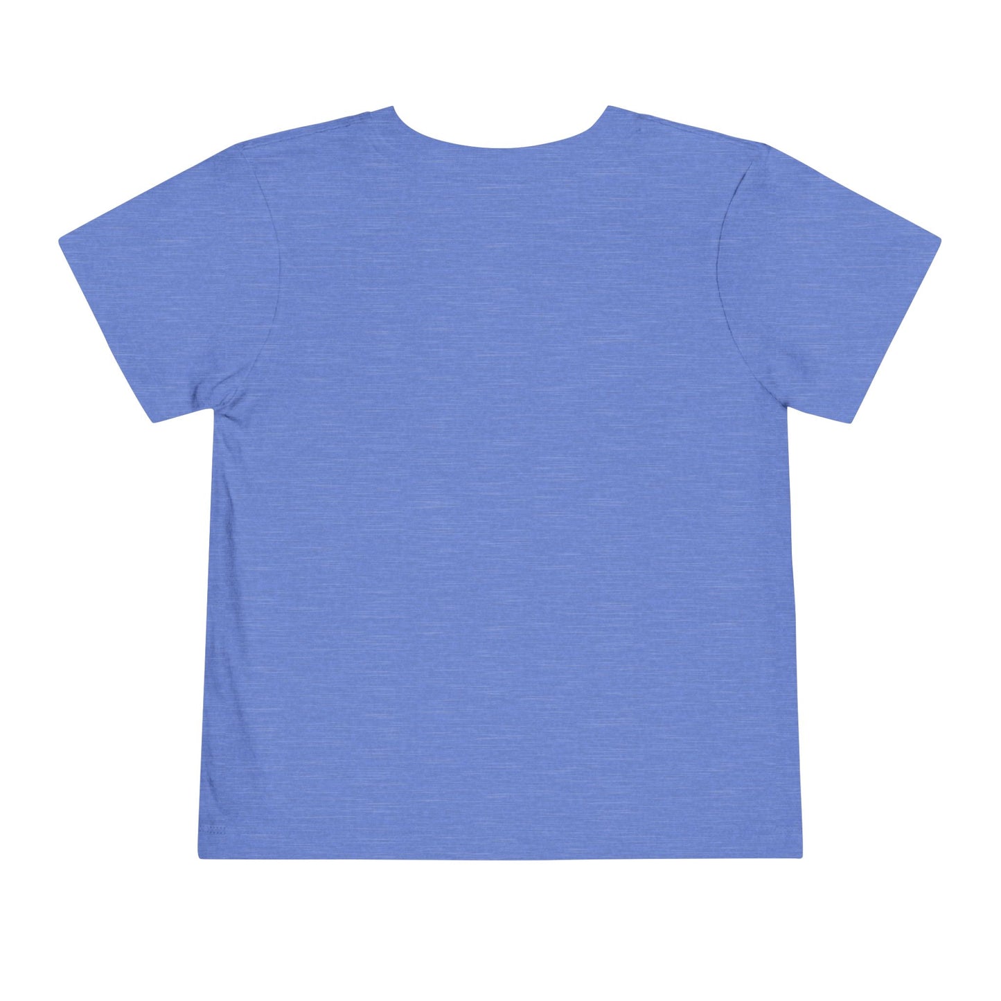 Show4All_Sizes Heather Columbia Blue